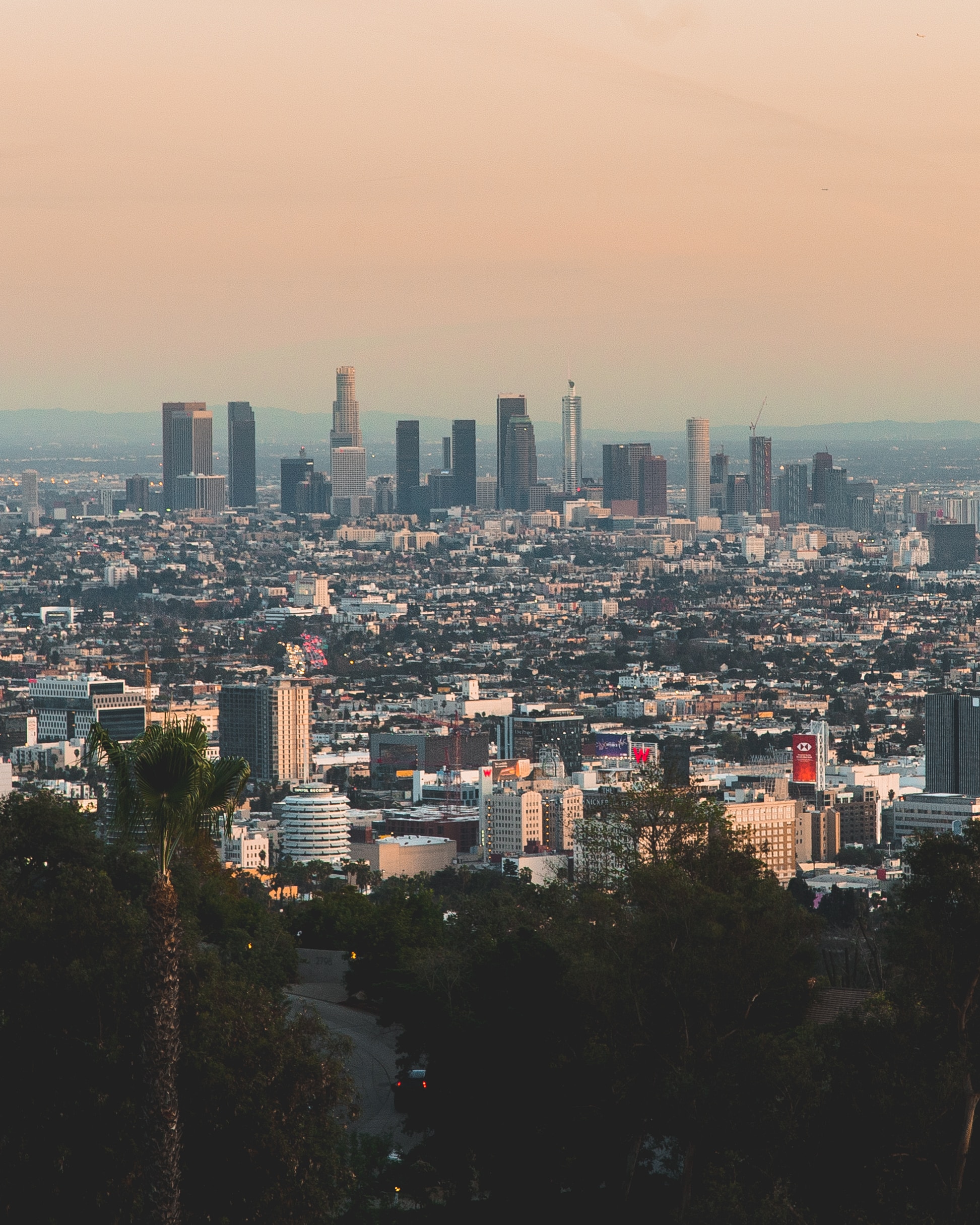 Image by Jordan Pulmano